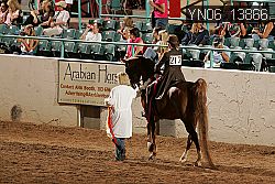 YN06_13866 thumbnail