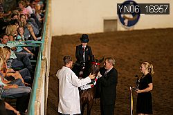 YN06_16957 thumbnail