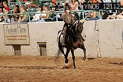 YN06_12112 thumbnail