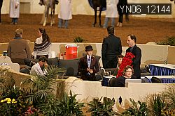 YN06_12144 thumbnail