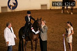 YN06_12147 thumbnail