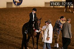 YN06_12155 thumbnail