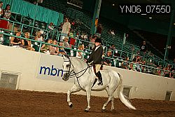 YN06_07550 thumbnail