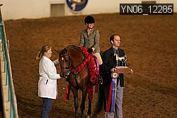 YN06_12285 thumbnail
