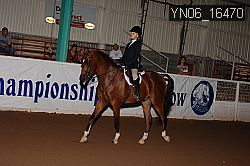 YN06_16470 thumbnail