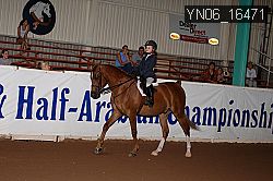 YN06_16471 thumbnail