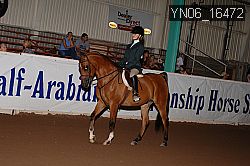 YN06_16472 thumbnail