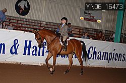 YN06_16473 thumbnail