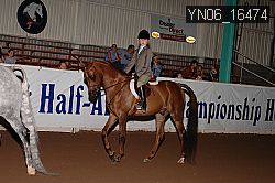 YN06_16474 thumbnail