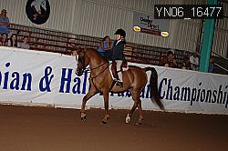 YN06_16477 thumbnail