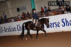 YN06_13176 thumbnail