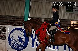 YN06_13214 thumbnail