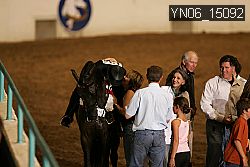YN06_15092 thumbnail