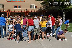 YN06_01880 thumbnail