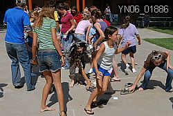 YN06_01886 thumbnail
