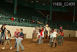 YN06_02499 thumbnail