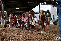 YN06_06153 thumbnail