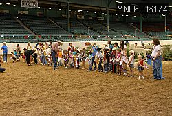 YN06_06174 thumbnail