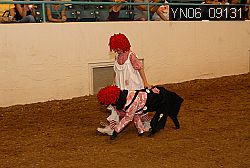 YN06_09131 thumbnail