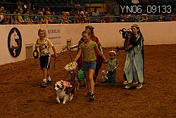YN06_09133 thumbnail