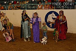 YN06_09141 thumbnail