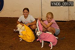 YN06_09170 thumbnail