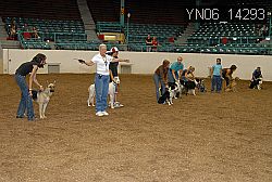 YN06_14293 thumbnail