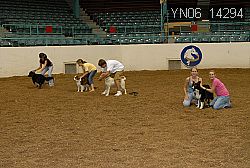 YN06_14294 thumbnail