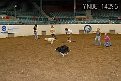 YN06_14295 thumbnail
