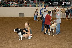 YN06_14299 thumbnail