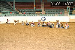 YN06_14302 thumbnail