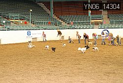 YN06_14304 thumbnail