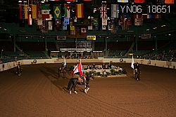 YN06_18651 thumbnail