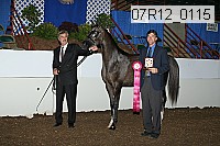 07r12_0115 thumbnail