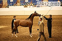 07r12_0183 thumbnail