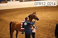 07r12_0214 thumbnail