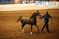 07r12_0228 thumbnail