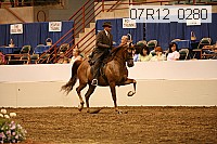 07r12_0280 thumbnail