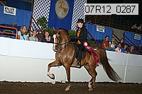 07r12_0287 thumbnail