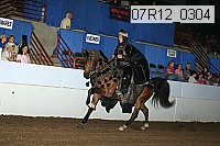 07r12_0304 thumbnail