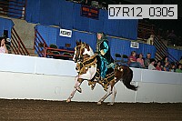 07r12_0305 thumbnail