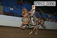 07r12_0306 thumbnail