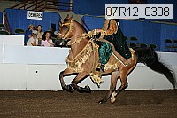 07r12_0308 thumbnail