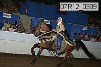 07r12_0309 thumbnail