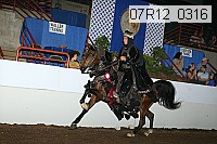 07r12_0316 thumbnail