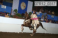 07r12_0317 thumbnail