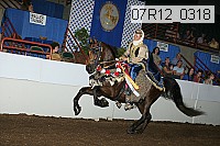 07r12_0318 thumbnail