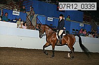 07r12_0339 thumbnail