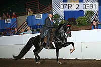 07r12_0391 thumbnail