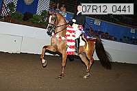 07r12_0441 thumbnail